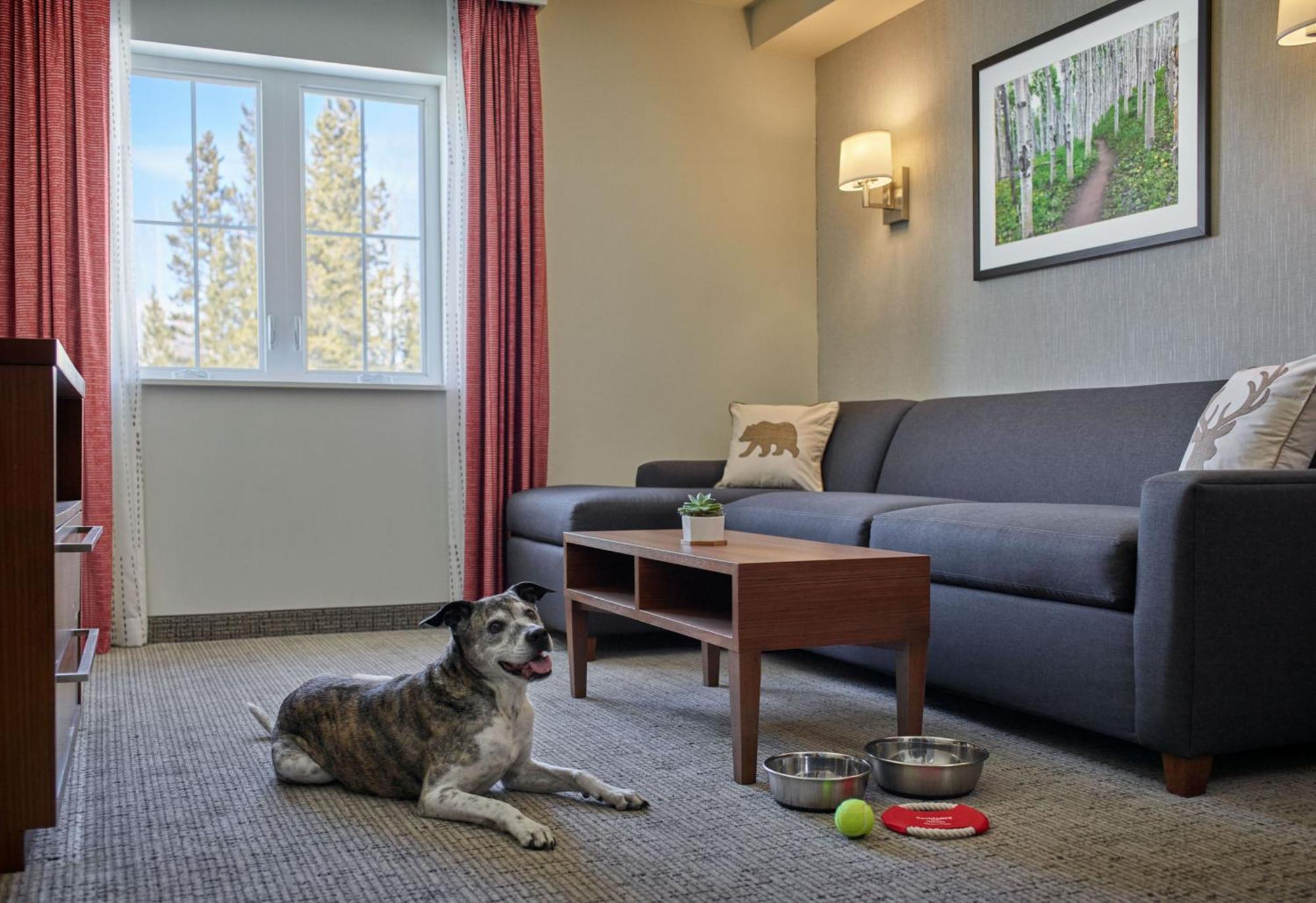 Residence Inn By Marriott Breckenridge Bagian luar foto